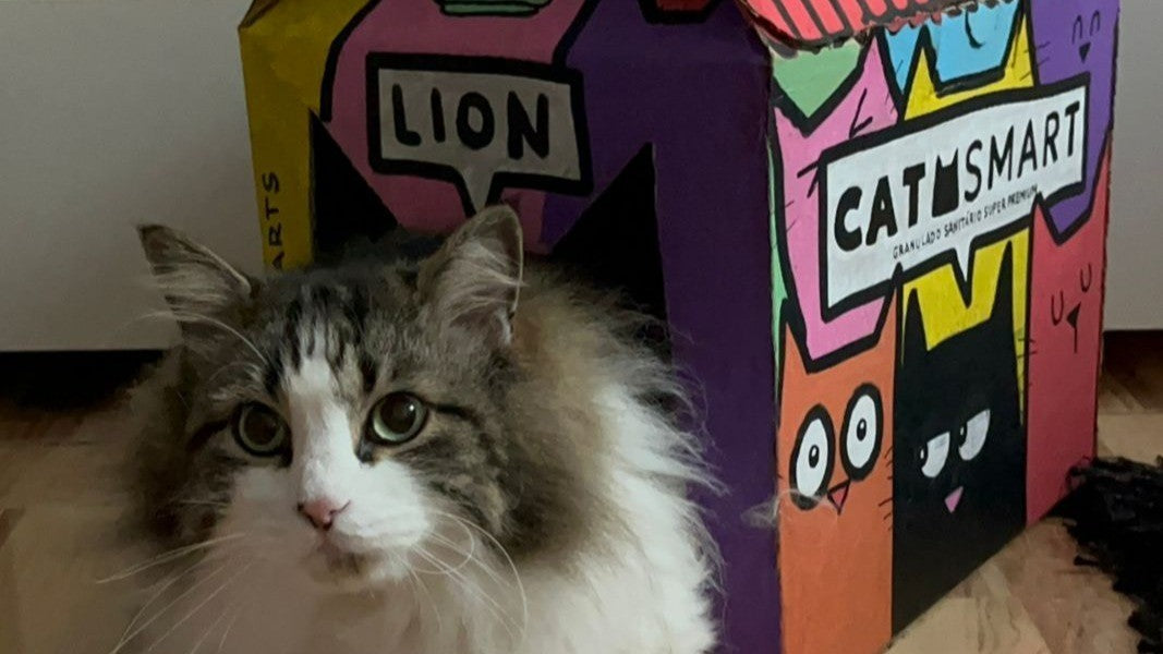 Quando a arte ganha um toque de miado: Cat Smart e POSCA se unem no ArtBOX