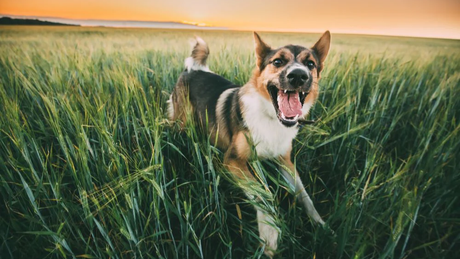 O cuidado com o planeta pode começar na embalagem, e o UPPER Group sabe disso.